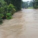 MP: पन्ना में बारिश ने दिखाया रौद्र रूप…. नदी-नाले उफान पर, कई गांवों में घुसा पानी