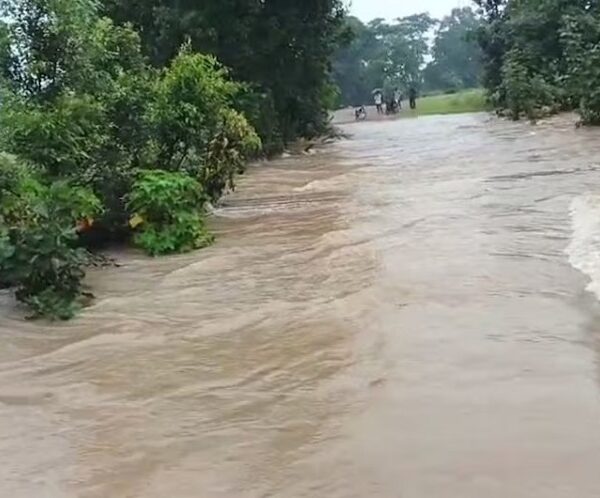 MP: पन्ना में बारिश ने दिखाया रौद्र रूप…. नदी-नाले उफान पर, कई गांवों में घुसा पानी