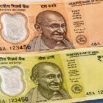 प्लास्टिक नोटों में जानवरों की चर्बी….. अफवाहों का बाजार गर्म… जानिए क्या है सच?