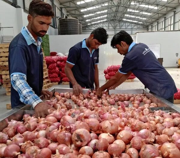 बढ़ती कीमतों के बीच सरकार ने निकाला प्याज का बफर स्टॉक…. 10 दिन में ही बिक गई 4000 टन