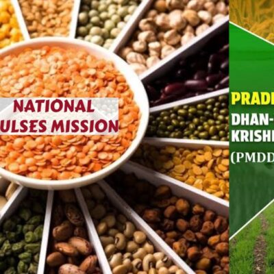 पीएम मोदी के दो ड्रीम प्रोजेक्ट्स को एक साल, दलहन उत्पादन में रिकॉर्ड, 100 जिलों में कृषि परिदृश्य बदला