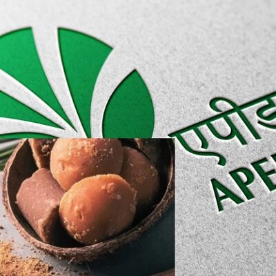भारत का पारंपरिक ताड़ का 1.755 मीट्रिक टन गुड़ पाउडर बुल्गारिया के बाजार में पहुंचा