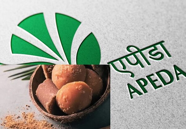 भारत का पारंपरिक ताड़ का 1.755 मीट्रिक टन गुड़ पाउडर बुल्गारिया के बाजार में पहुंचा
