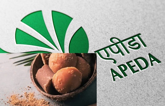 भारत का पारंपरिक ताड़ का 1.755 मीट्रिक टन गुड़ पाउडर बुल्गारिया के बाजार में पहुंचा