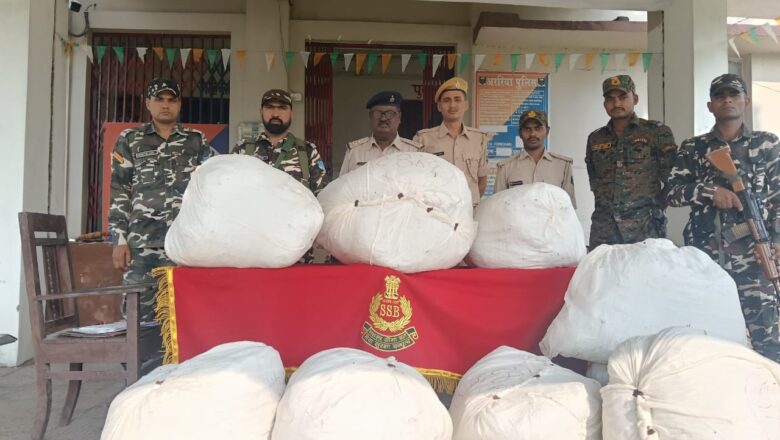 सशस्त्र सीमा बल और घूरना पुलिस की संयुक्त कार्रवाई में 242 किलोग्राम गांजा बरामद