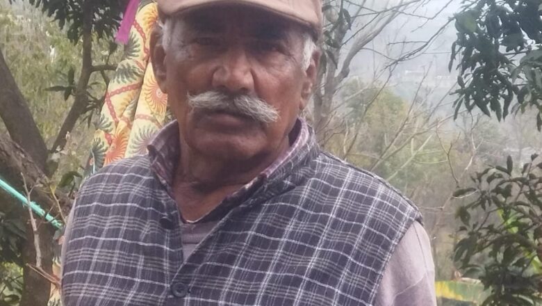 मंडी में घास काटने के झगड़े में बुजुर्ग महिला की मौत, परिजनों ने पत्थर मारने का आरोप लगाया