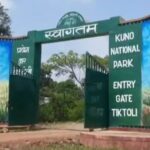 केंद्र ने कूनो राष्ट्रीय उद्यान में मारे गये नर चीता पर जांच के लिये उच्चस्तरीय टीम भेजी