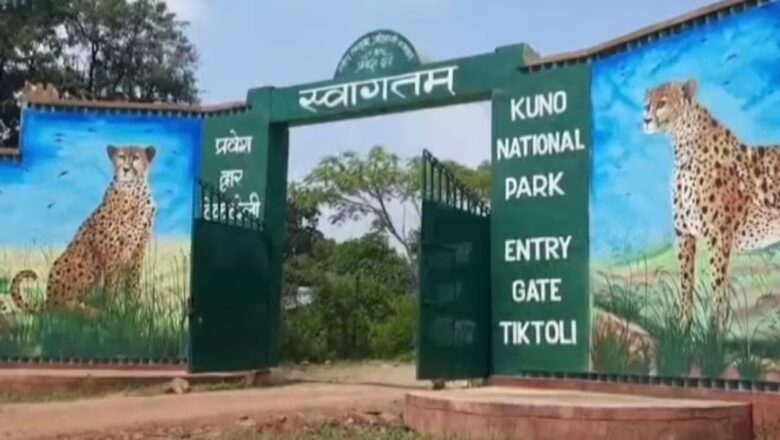 केंद्र ने कूनो राष्ट्रीय उद्यान में मारे गये नर चीता पर जांच के लिये उच्चस्तरीय टीम भेजी