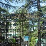 हिमाचल विवि के प्रो‑वीसी के पद पर बने रहेंगे राजिंदर वर्मा, 4 नवंबर को अगली सुनवाई