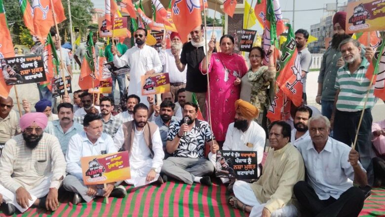 परविंदर सिंह झोटा की हत्या के विरोध में भाजपा ने पंजाब के 36 स्थानों पर विरोध प्रदर्शन किया